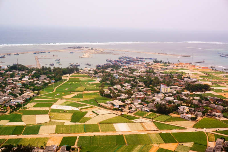 At this time, Ly Son farmers are in onion season. Vast fields of green onion from above looks like inland rice fields.