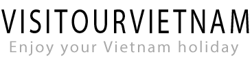 访问我们的越南