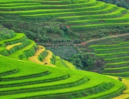 Sapa e Ninh Binh sono elencati tra le destinazioni emergenti in Asia